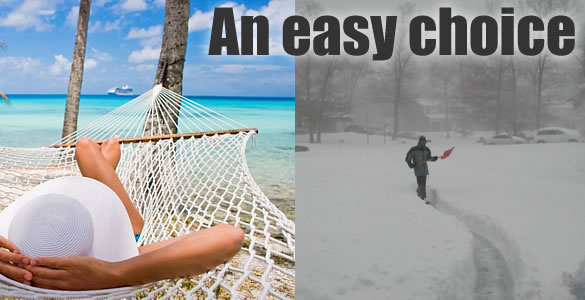 Sun vs snow... an easy choice