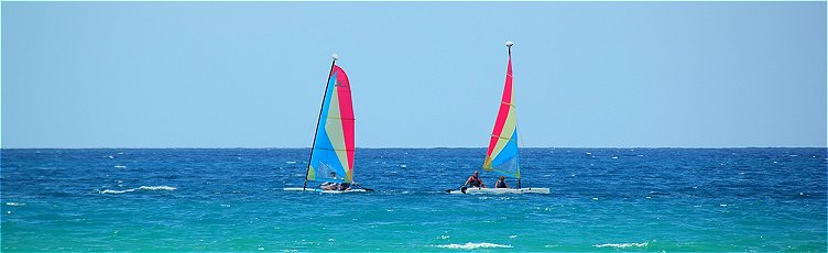Hobie cats sailing off Speightstown